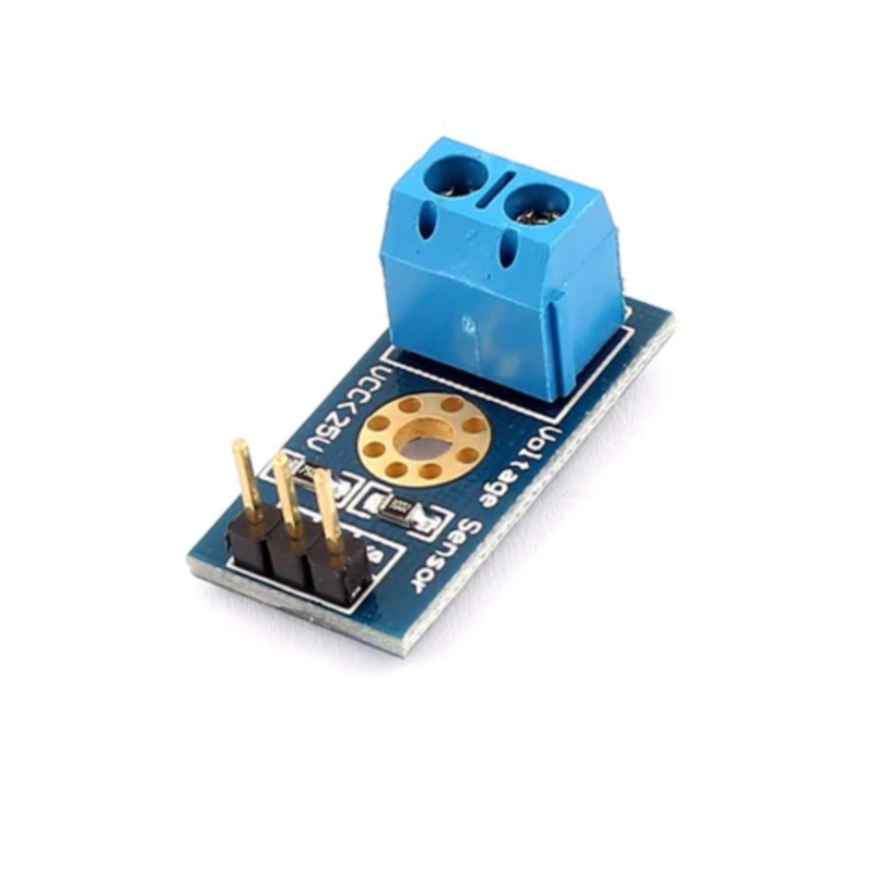 Voltage Detection Module